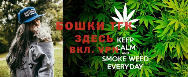 сатива Богданович