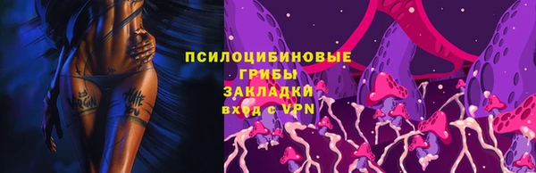 сатива Богданович