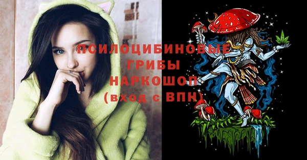 мескалин Богородицк