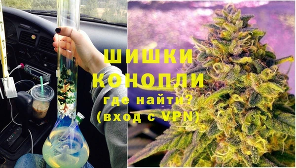сатива Богданович