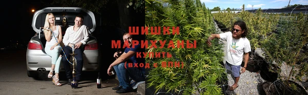 сатива Богданович