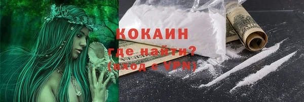 мескалин Богородицк