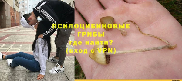 дурь Богородск